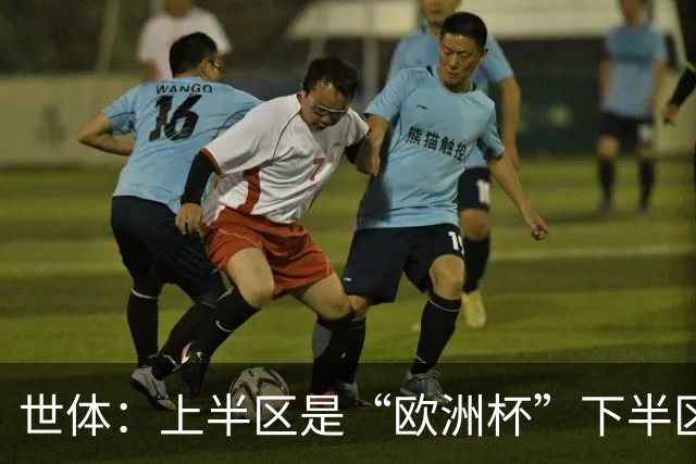 世体：上半区是“欧洲杯”下半区是“美洲杯”，英阿大战太迷人