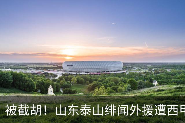 被截胡！山东泰山绯闻外援遭西甲豪门争抢，夏窗换外援又泡汤了